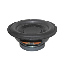 High flexible foam edge 10 inch karaoke speakers/ktv speaker WL10018